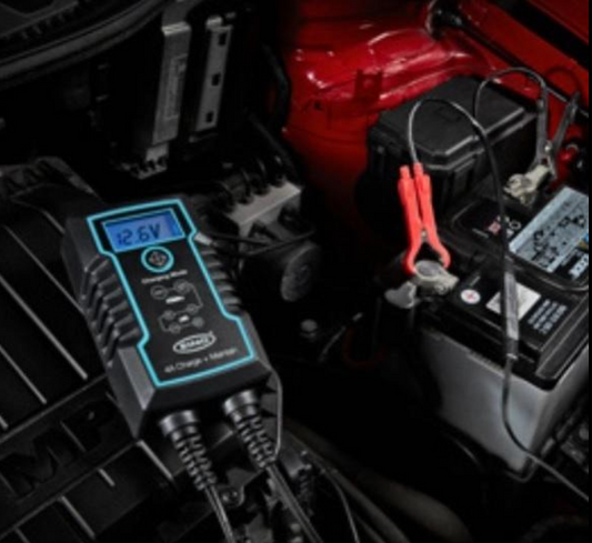 CHARGEUR ET MAINTIEN DE CHARGE INTELLIGENT 6/12V 4A RING